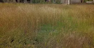 Prime ½ Acre Plots for sale in Karen- Kes 43M