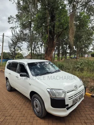 Toyota Probox 2014 White