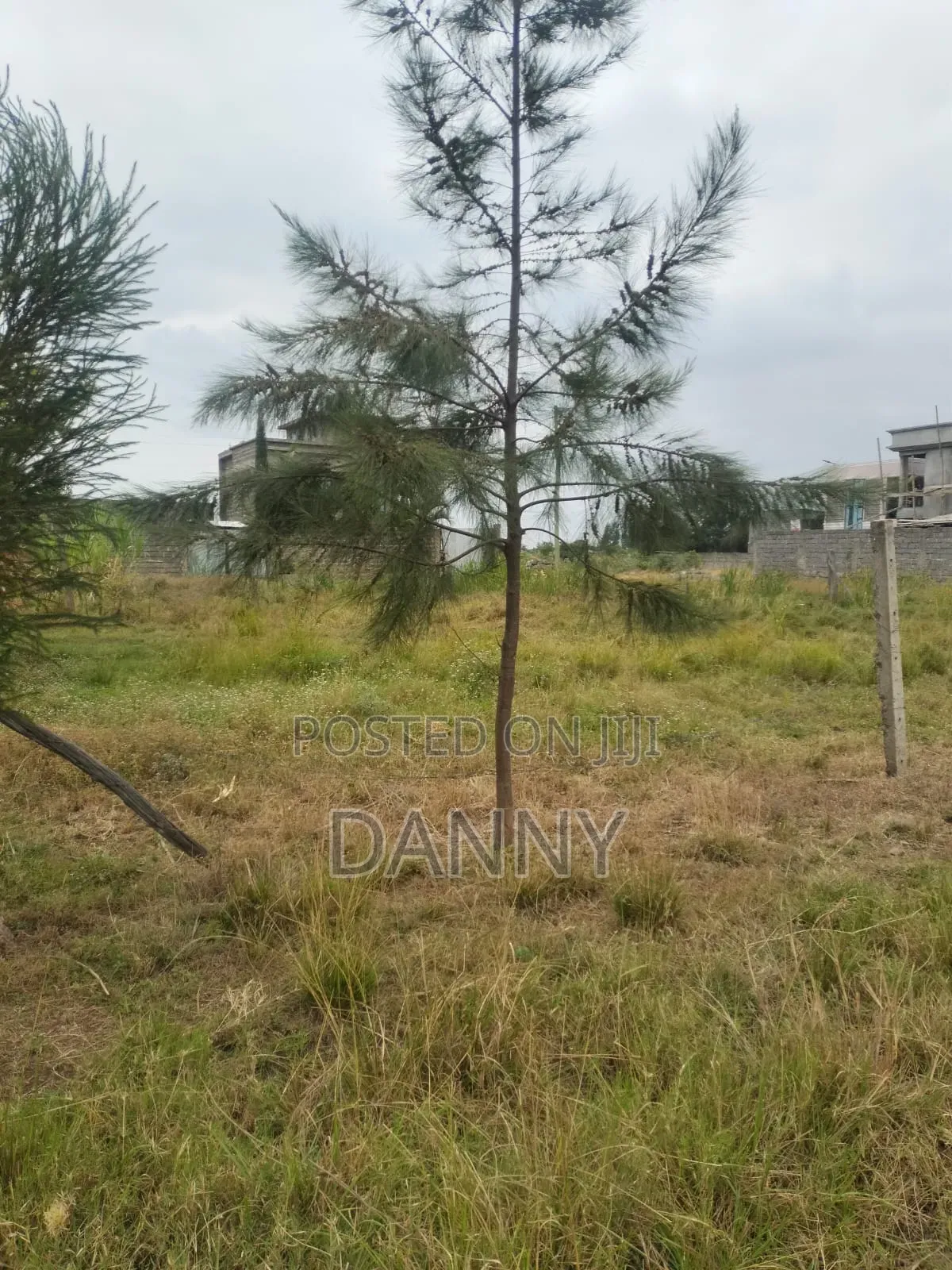 Prime Plots for Sale at Murera Near Kwa Tom Stage