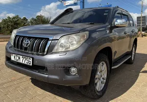 Toyota Land Cruiser Prado 2010 Gray