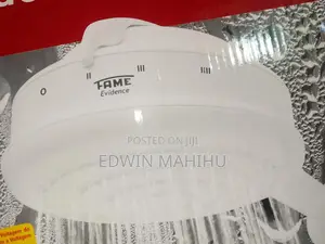 Instant Shower Head