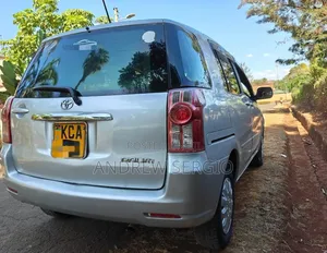 Toyota Raum 2008 Silver