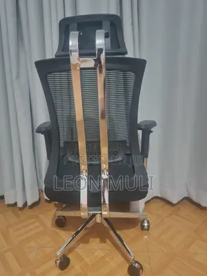 Orthopedic Chair for Sale.