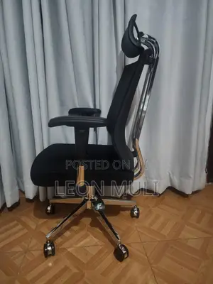 Orthopedic Chair for Sale.