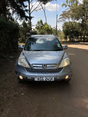 Honda CR-V 2009 Silver