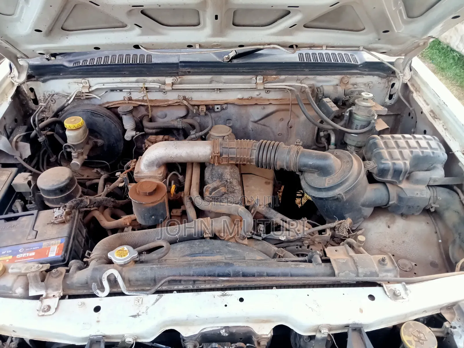 Nissan Hardbody 2004 White
