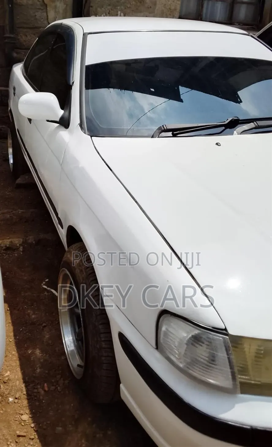 Nissan FB15 2003 White