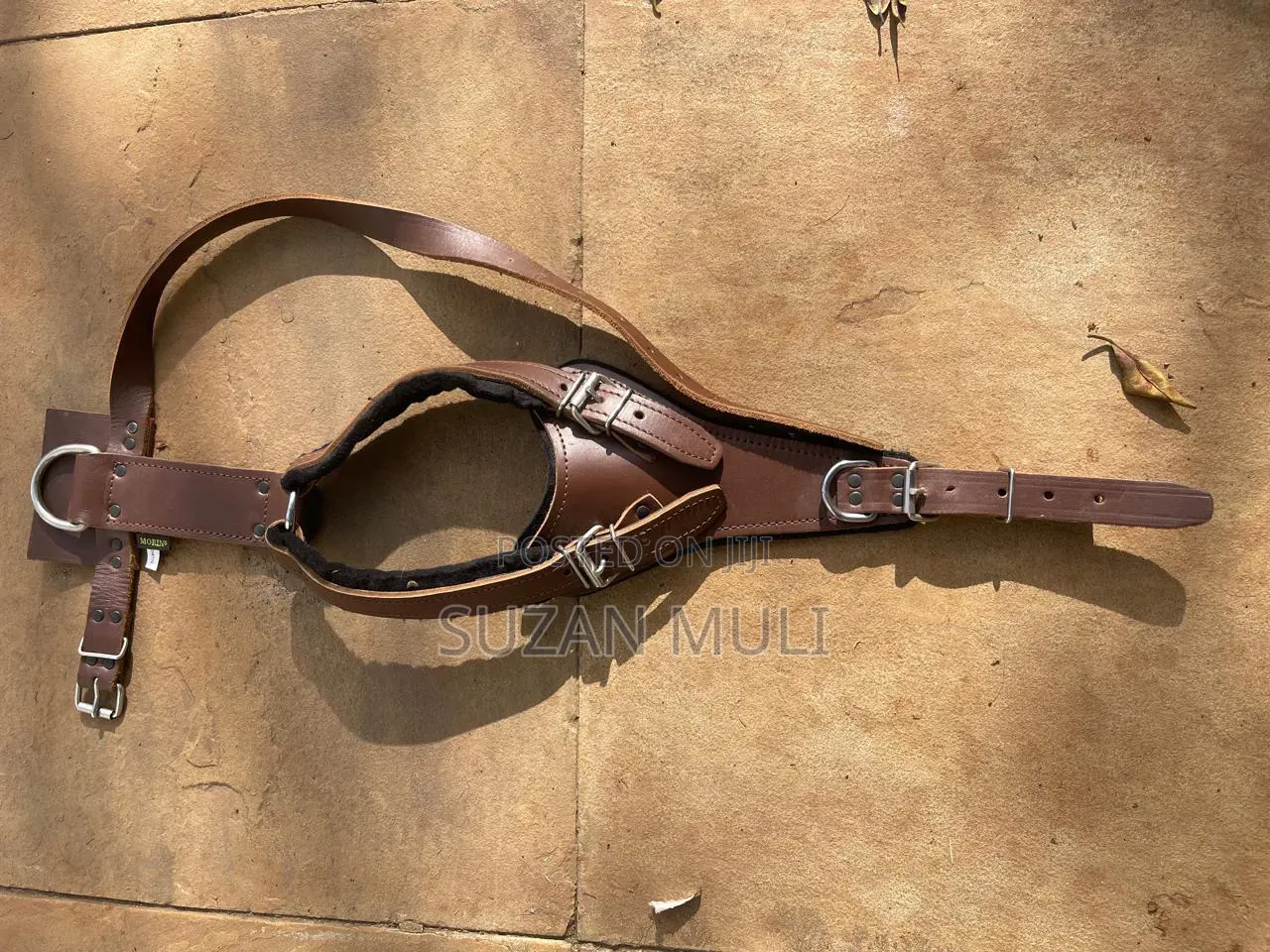 Dog Harness
