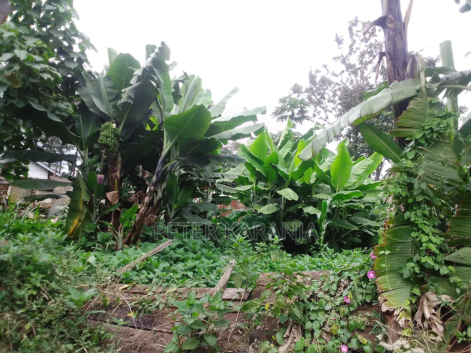 Plots for Sale