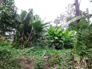 Plots for Sale