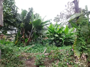 Plots for Sale
