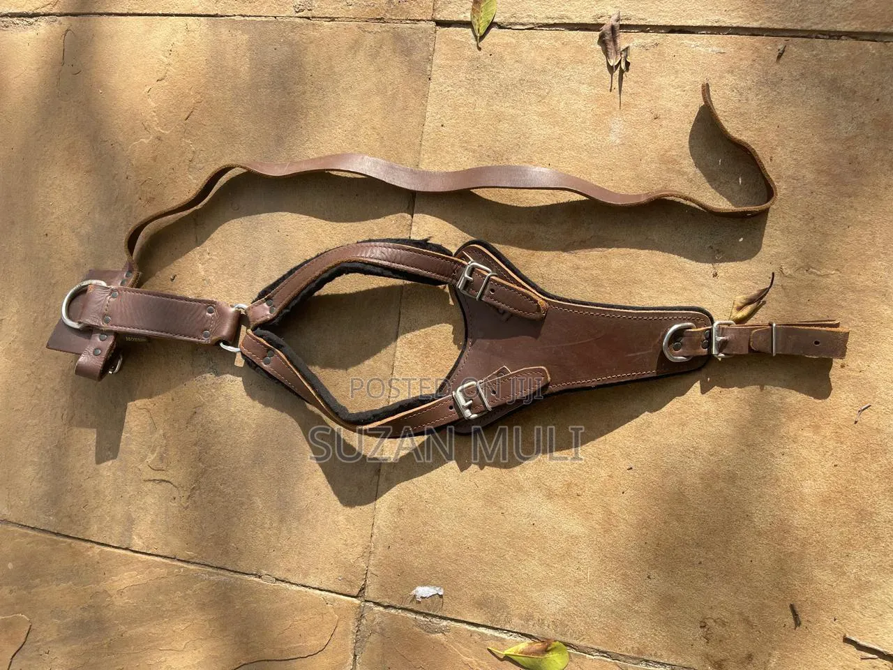 Dog Harness
