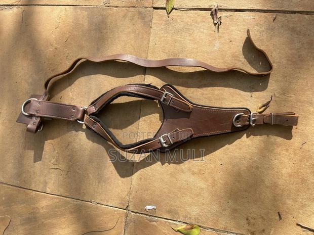 Dog Harness