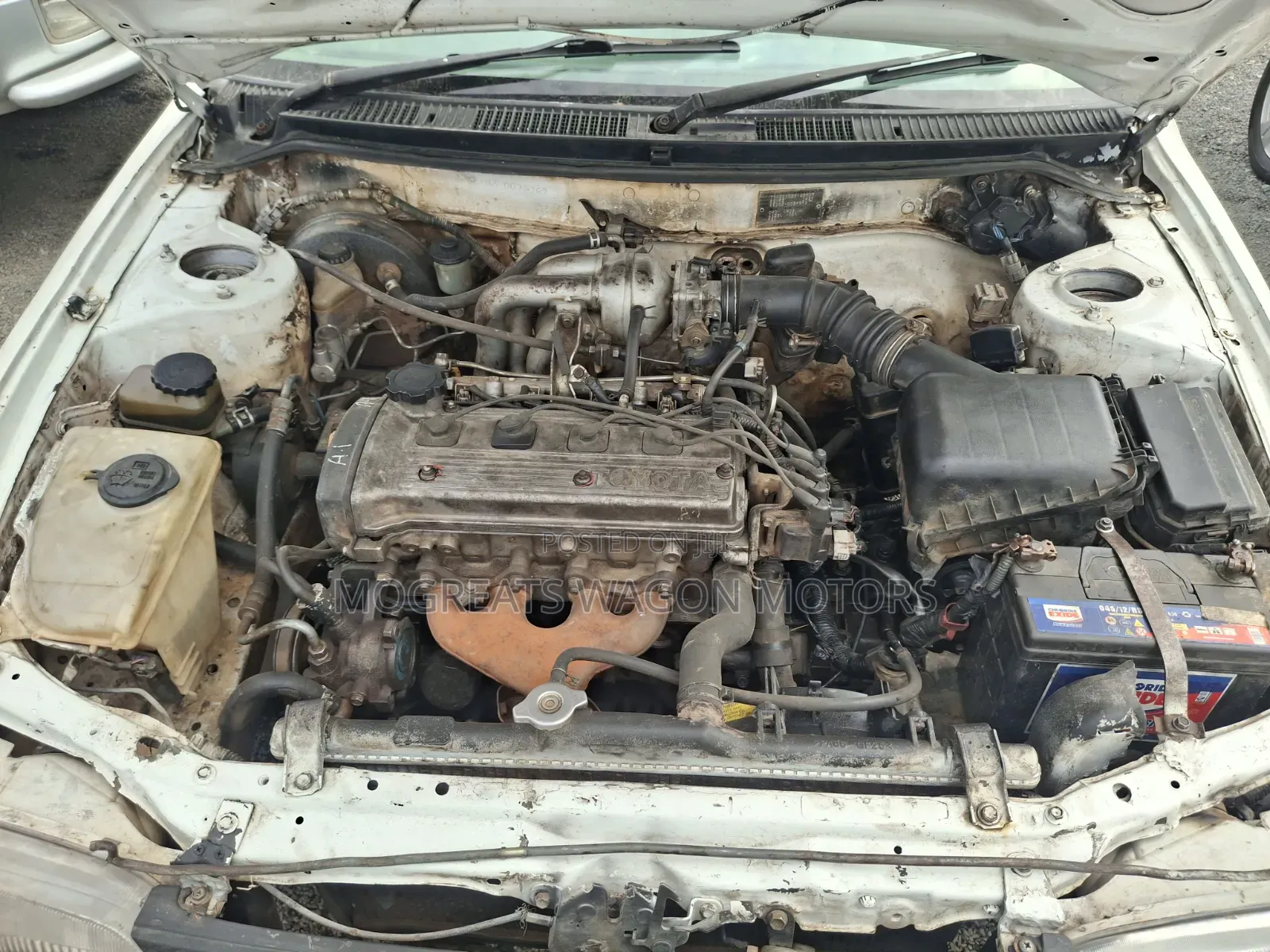 Toyota Corolla 1999 White