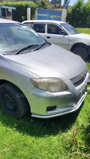 Toyota Corolla Fielder 2009 Silver