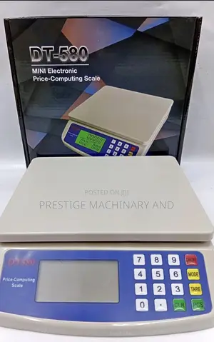 DT 580 Digital Weighing Scale/ Portable 30kgs Weighing Scale Machine