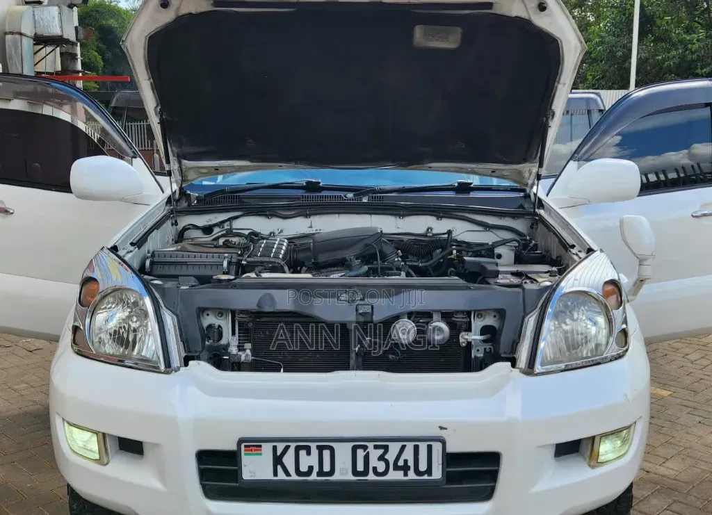 Toyota Land Cruiser 2008 White