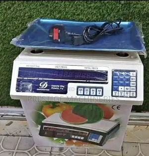 Acs-30 Weighing Scale/ Digital Weighing Scale 30kgs