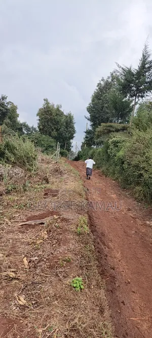 Kawangware Land