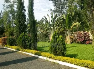 Green Scape Landscaper