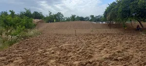 Green Scape Landscaper