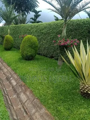 Green Scape Landscaper