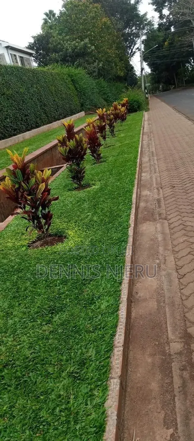 Green Scape Landscaper