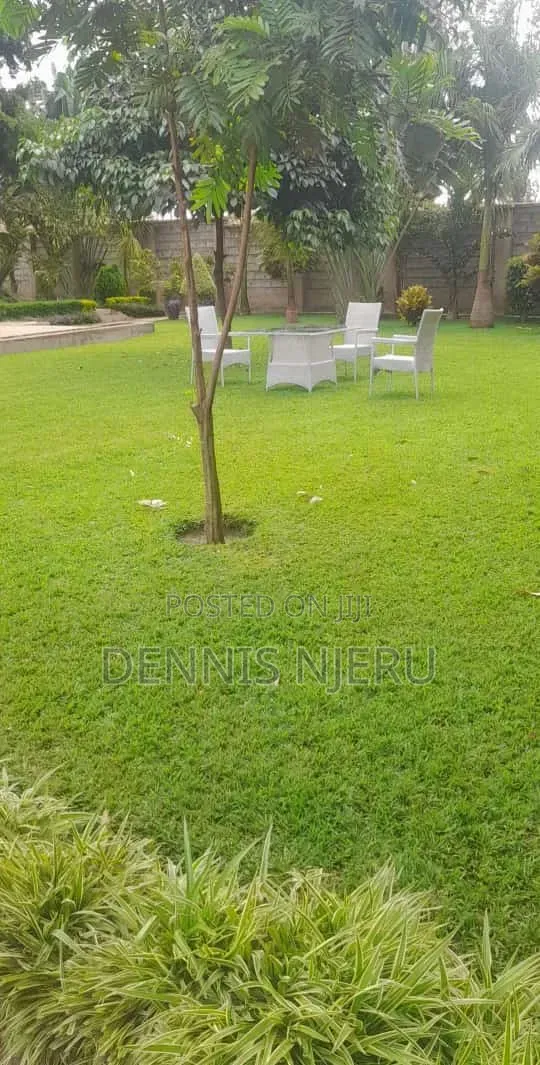 Green Scape Landscaper