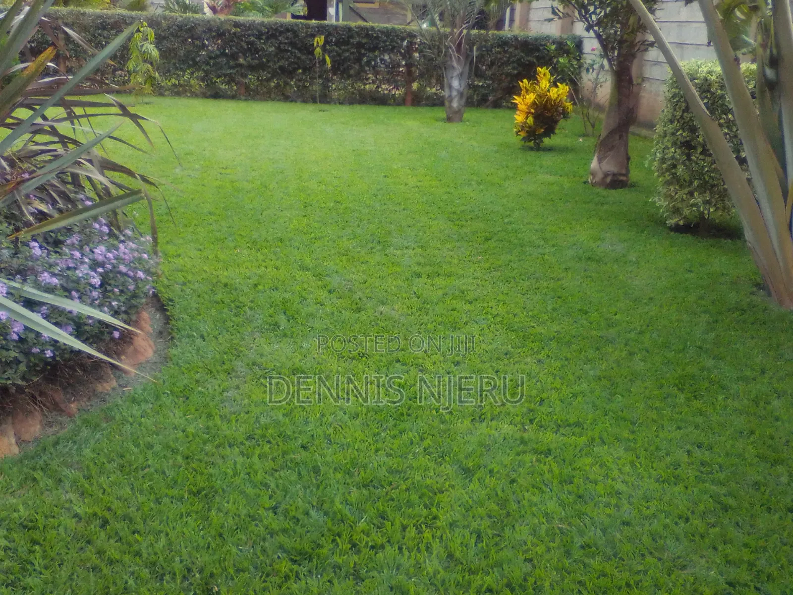 Green Scape Landscaper
