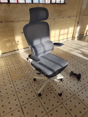 Ergonomic High Back Office Chair With Headrest.