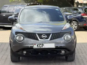 Nissan Juke 2011 Gray