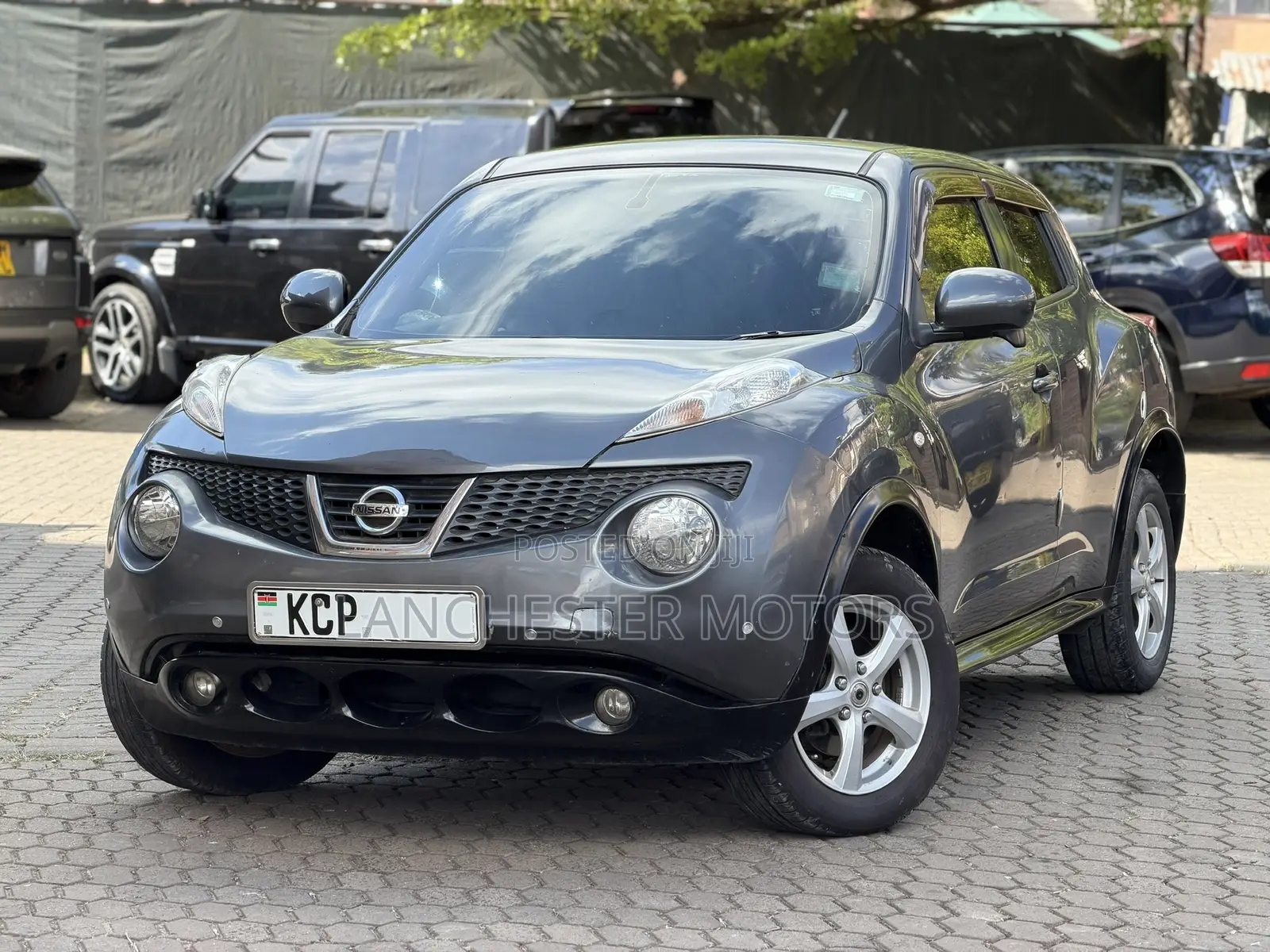 Nissan Juke 2011 Gray