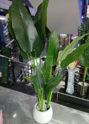 3 Stem Long Artificial Banana Plant With Dotted Round Vase - GW