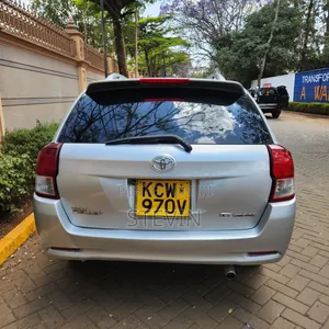 Toyota Corolla Fielder 2013 Silver