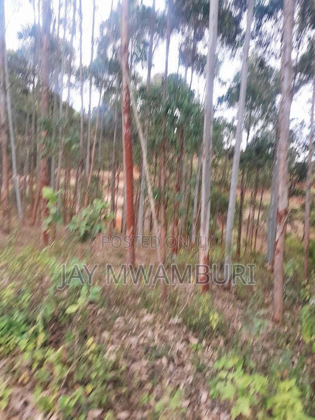 4 Acres Kalama