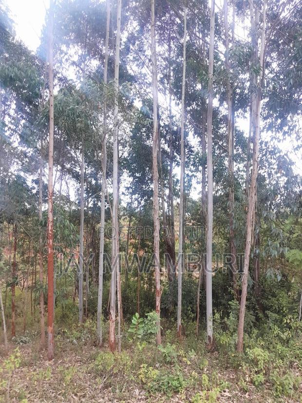 4 Acres Kalama - thumbnail 2