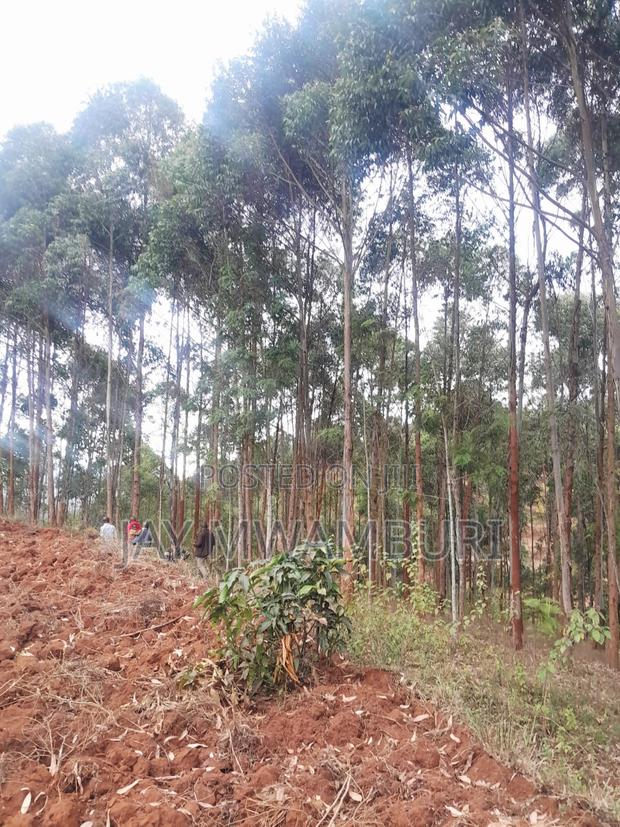 4 Acres Kalama - thumbnail 3