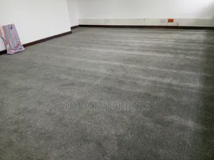 Grey 10mm Thick Wall to Wall Carpets