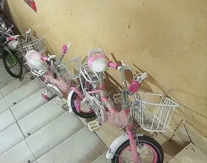Size 20 Assembled Kids Bicycles