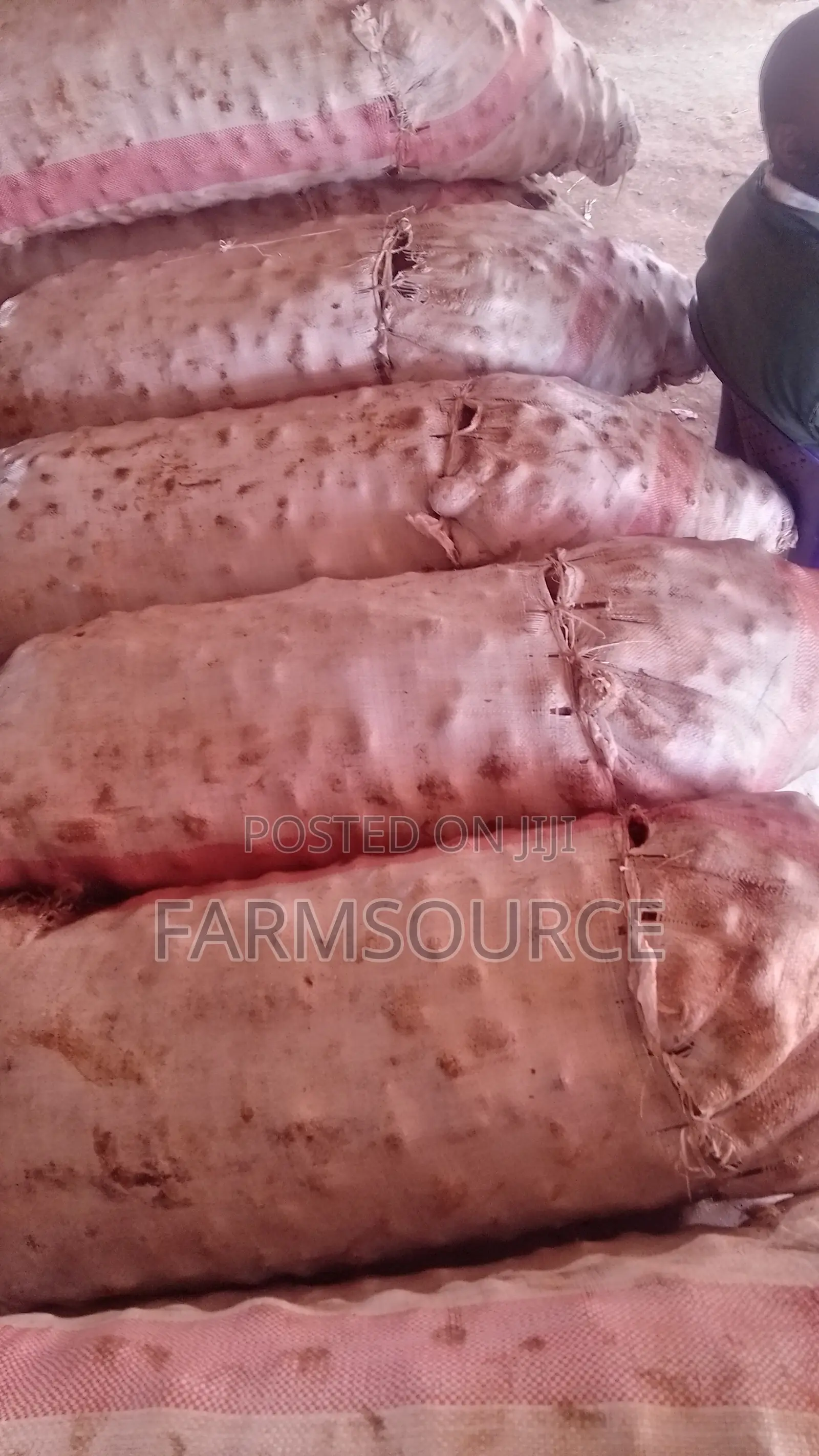 Big Size Potatoes(Shangi)