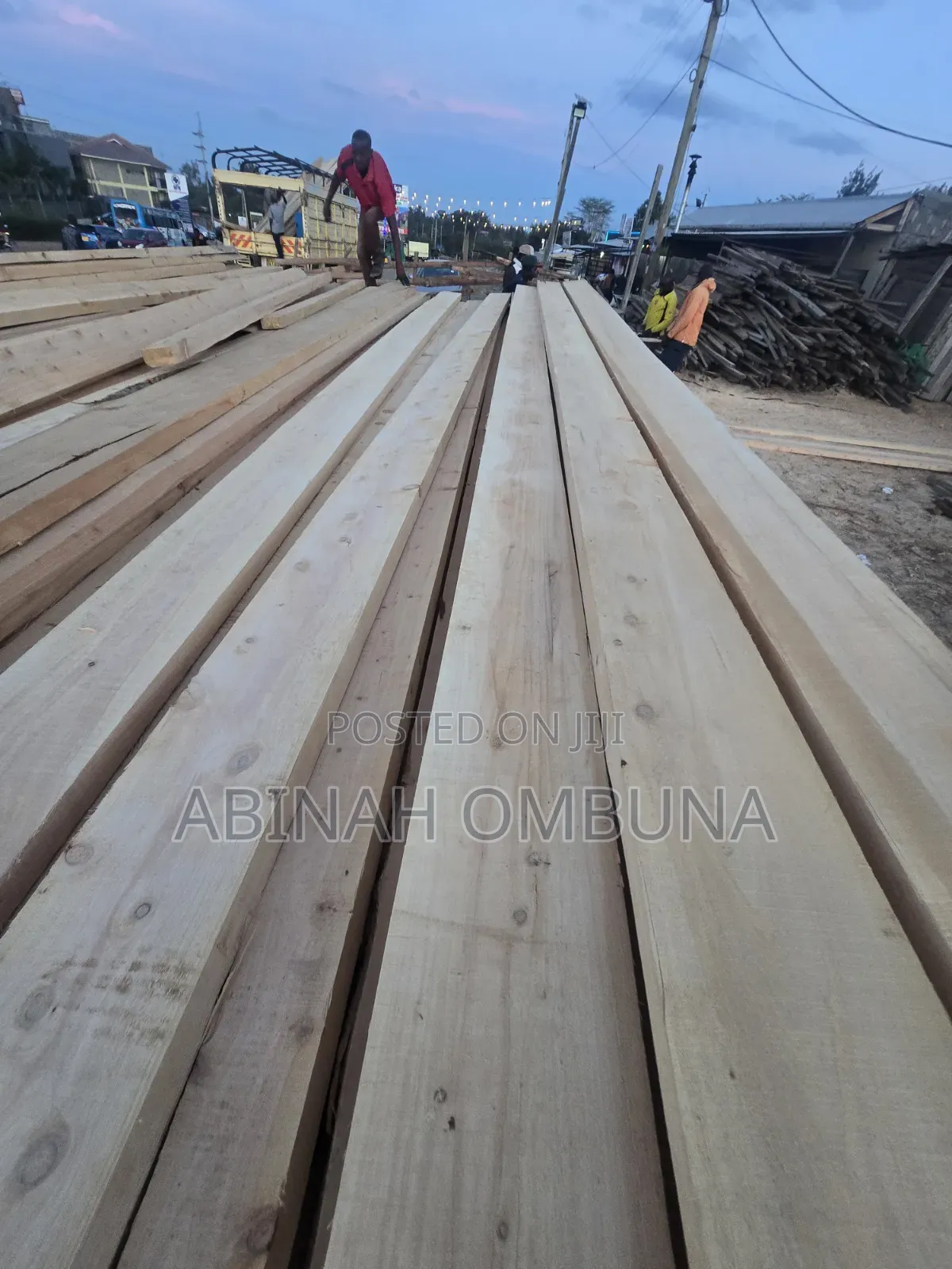 Cypress , Pine, Graveria