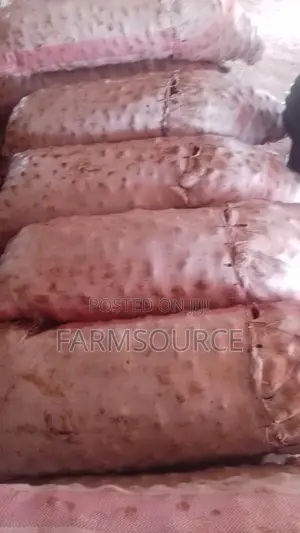 Big Size Potatoes(Shangi)
