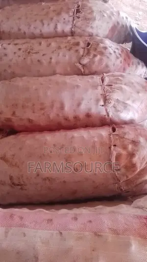 Big Size Potatoes(Shangi)