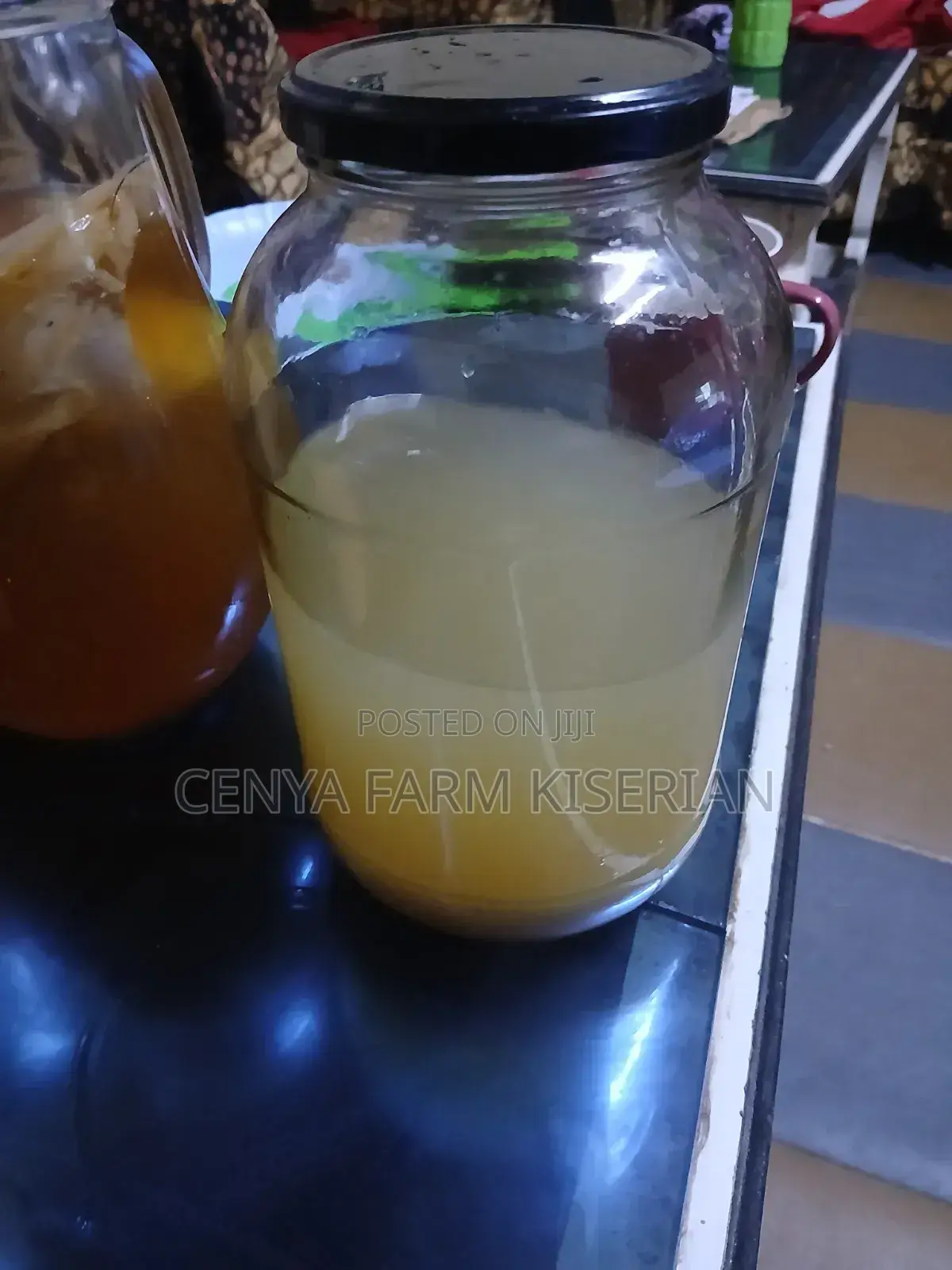 Water Kefir Grains – Homemade Probiotic Soda Starter