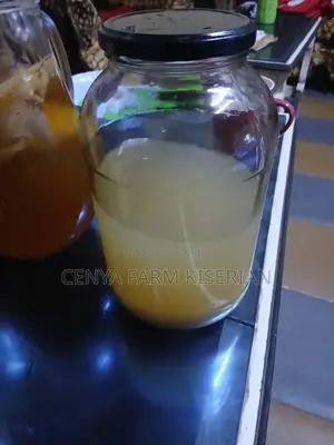 Water Kefir Grains – Homemade Probiotic Soda Starter