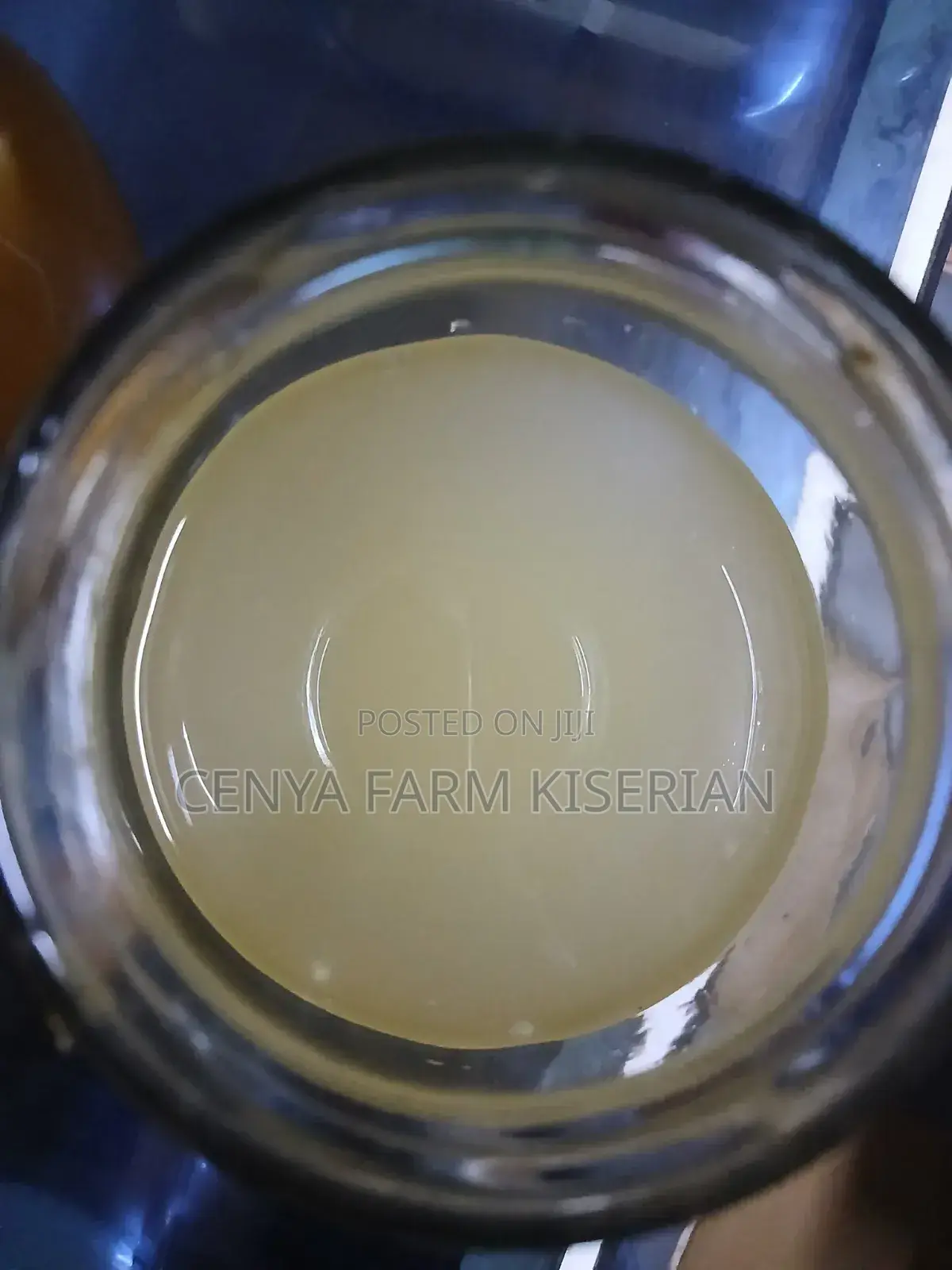 Water Kefir Grains – Homemade Probiotic Soda Starter