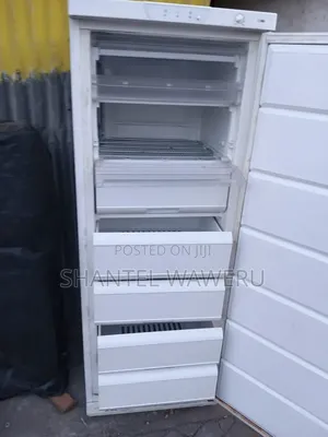 Samsung's Fridge Repair and Service