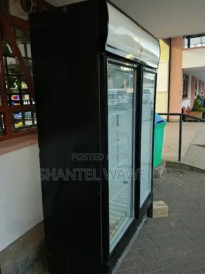 Samsung's Fridge Repair and Service