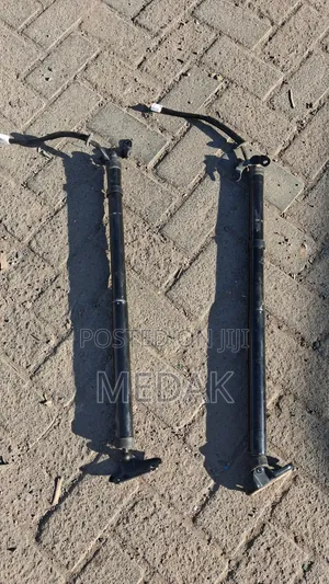 Harrier New Model Boot Electric Shock Absorbers
