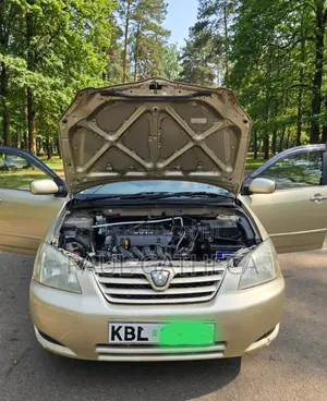 Toyota Corolla RunX 2004 Gold